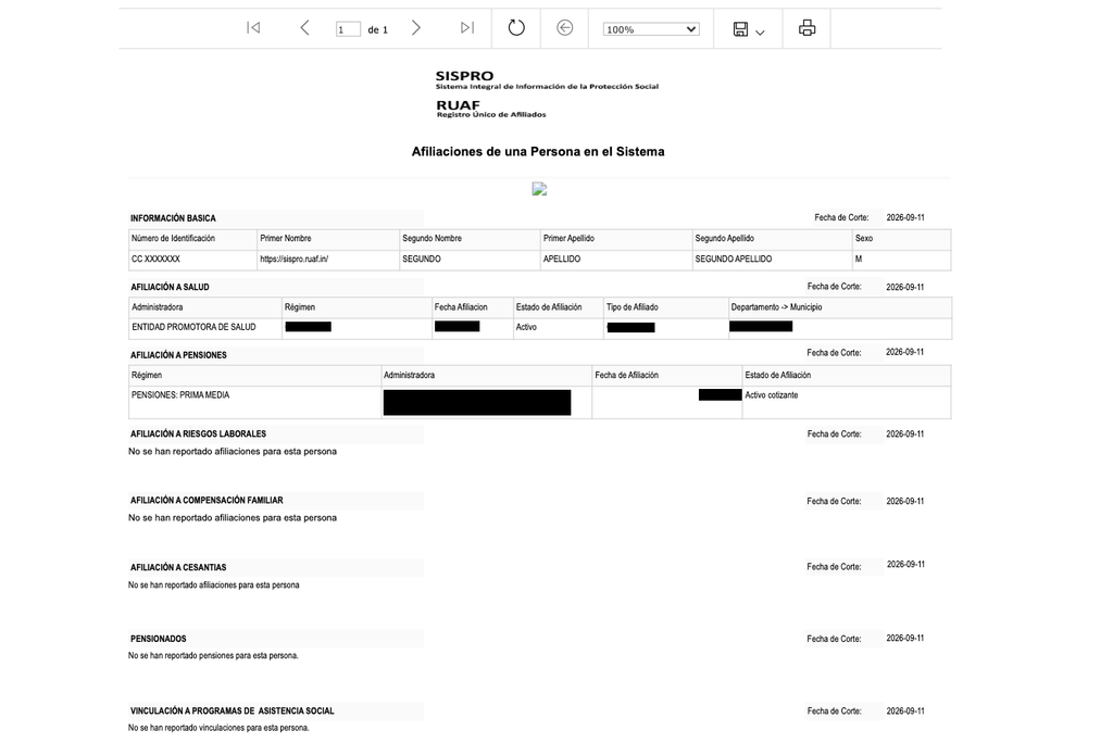 Ejemplo de resultado de la consulta SISPRO